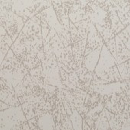 Lamiera plastificata Plalam PPS6 Lamiera plastificata Plalam PPS6
